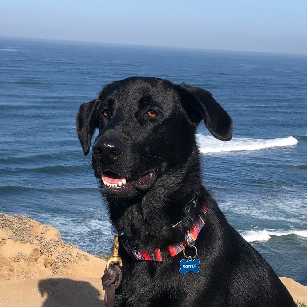 Meet your Posher, Kevin